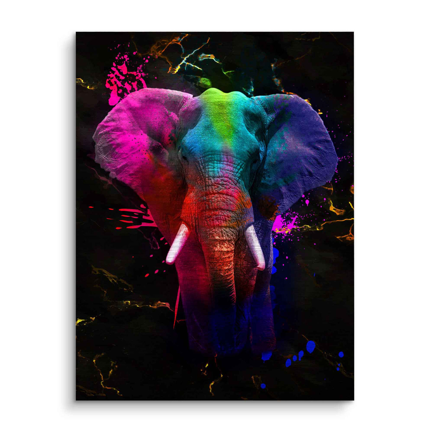 Éléphant - Colorful