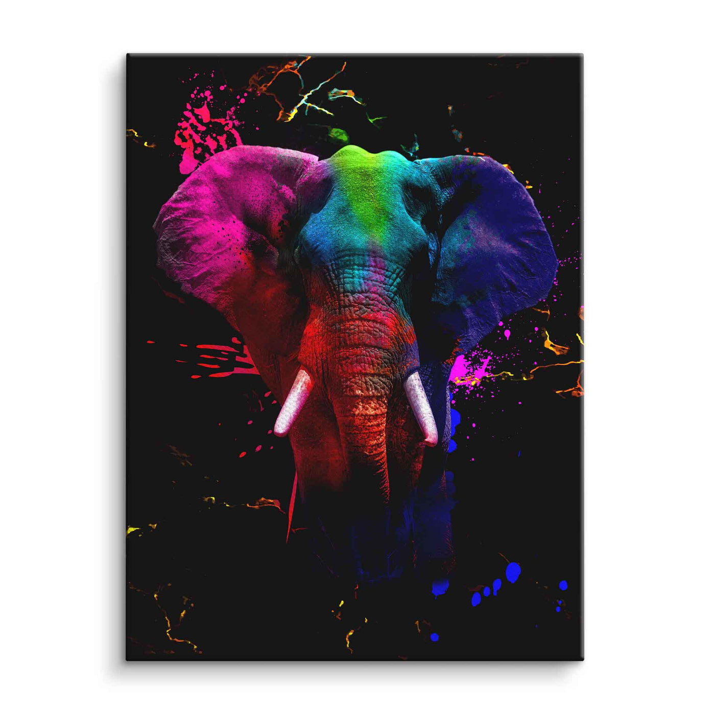 Éléphant - Colorful