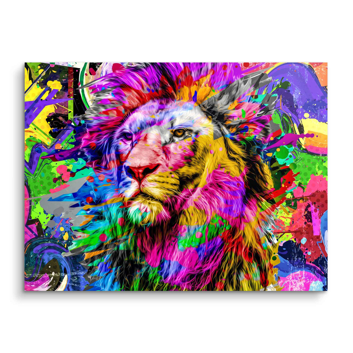 Roi Lion coloré