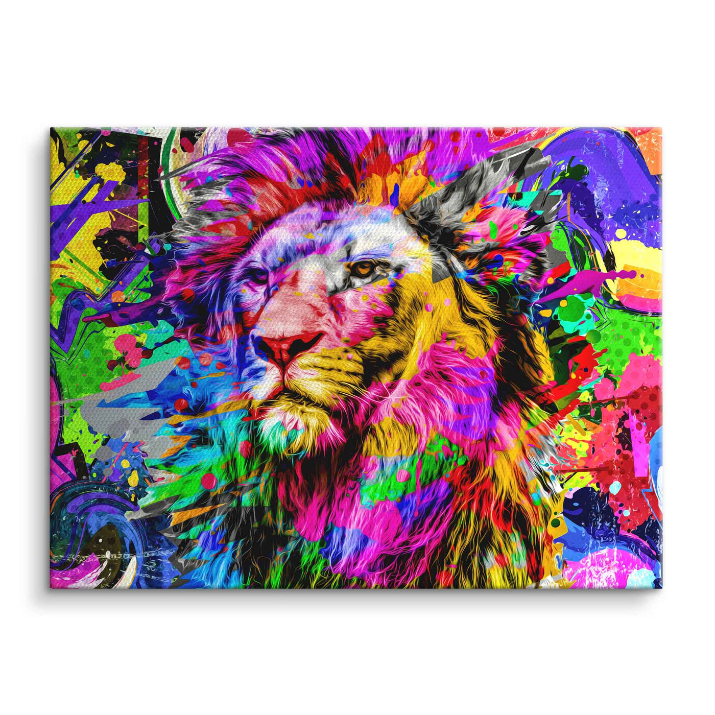 Roi Lion coloré