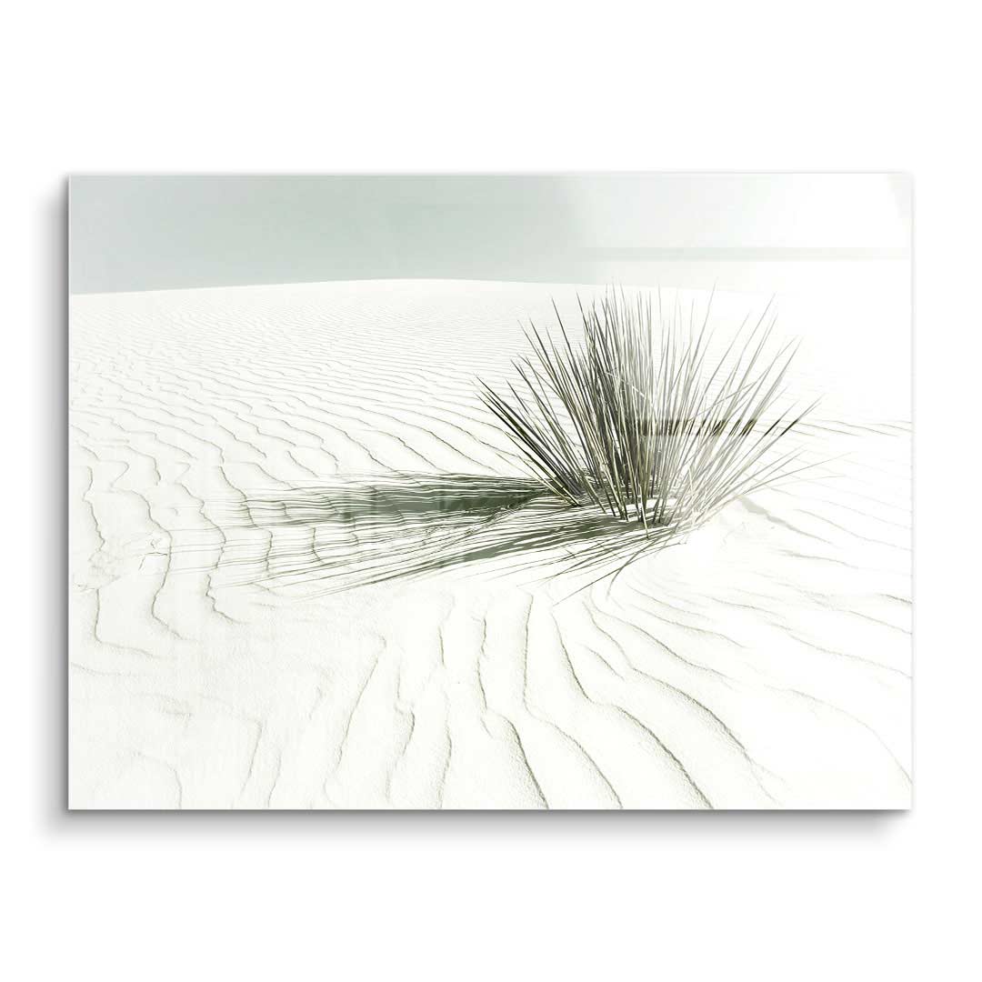 Vintage White Sands Dune