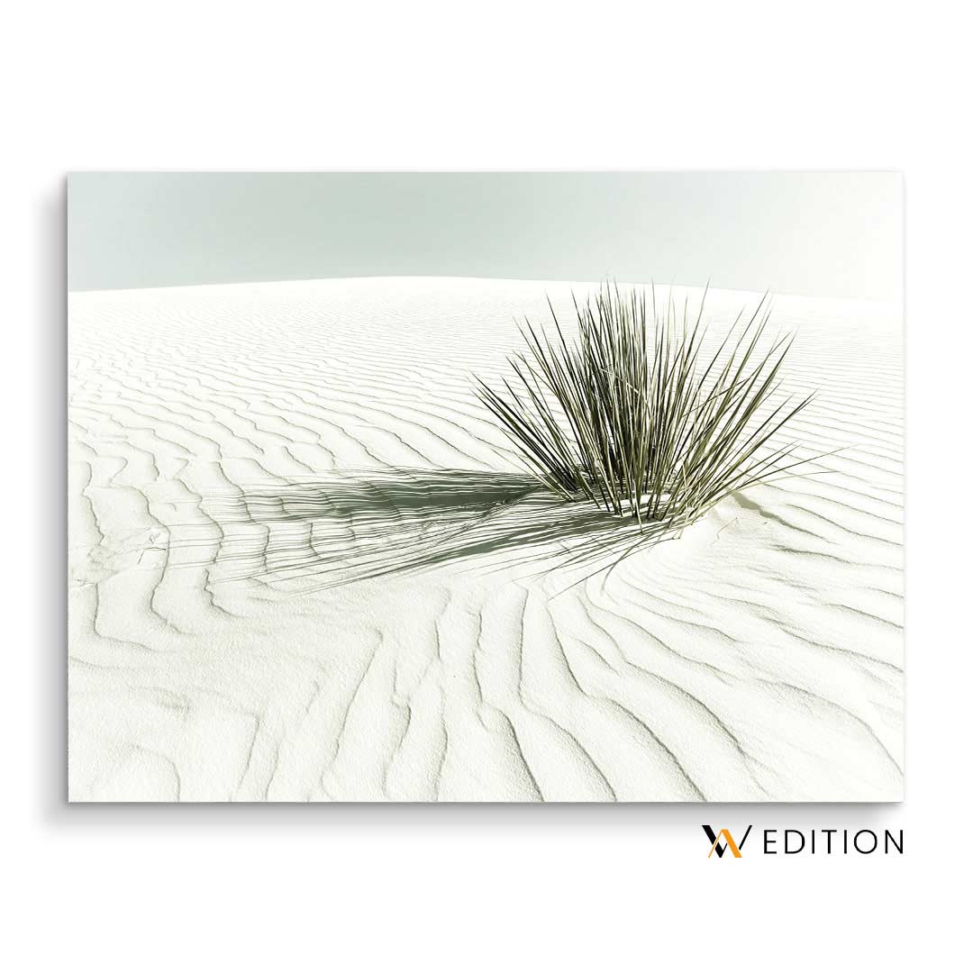 Vintage White Sands Dune